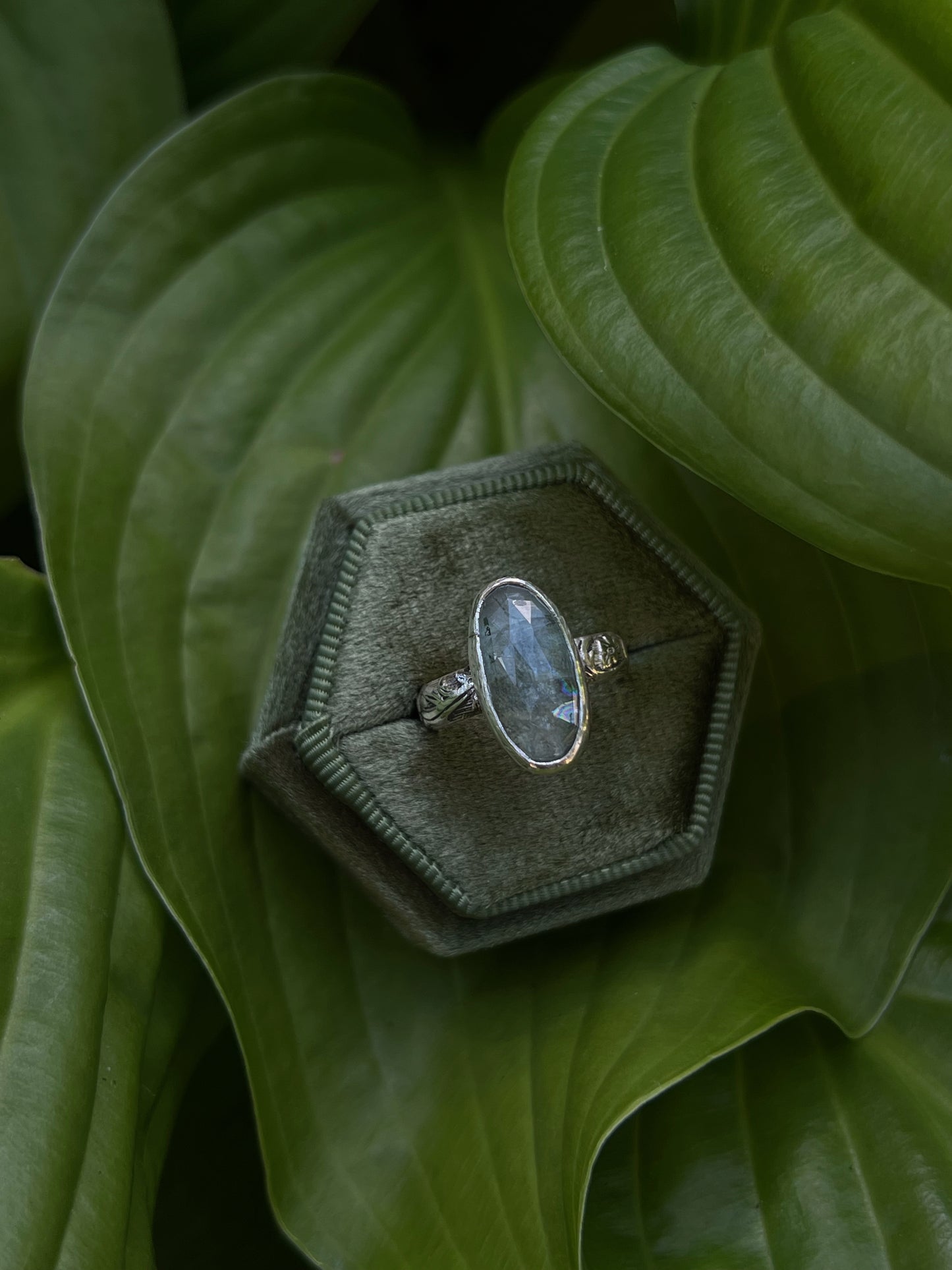 Kyanite - Size 6