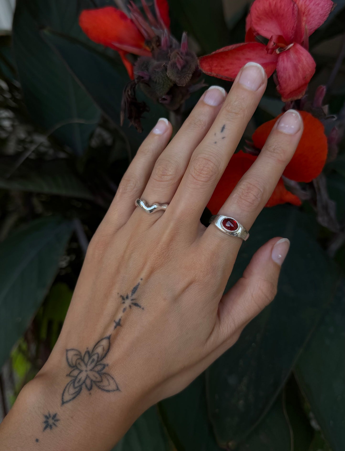 Gardenia - Size 7