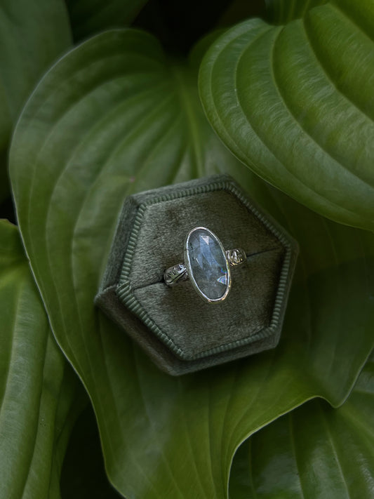 Kyanite - Size 6