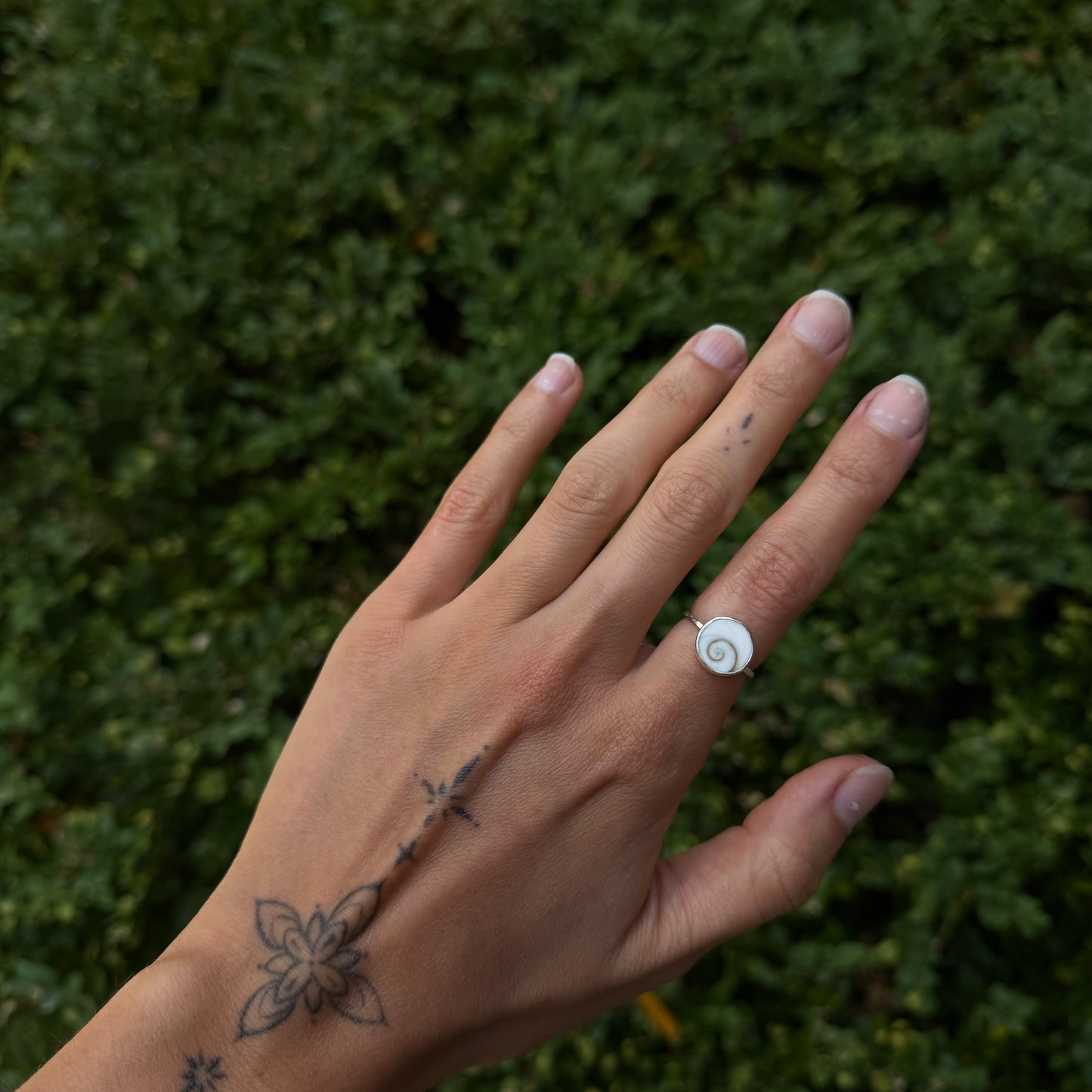 Tidal Ring