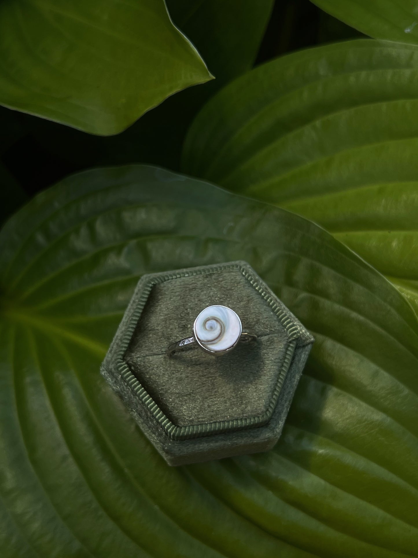 Tidal Ring